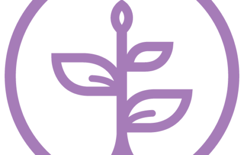 Personal Development School -Release Emotions with Somatic Processing - Thais Gibson