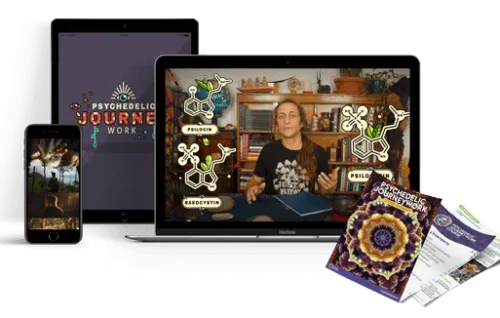 Psychedelic Journeywork Course - Fungi Academy