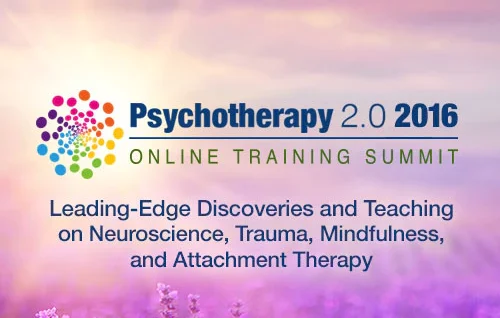Psychotherapy 2.0 2016 Online Training Summit - Diane Poole Heller