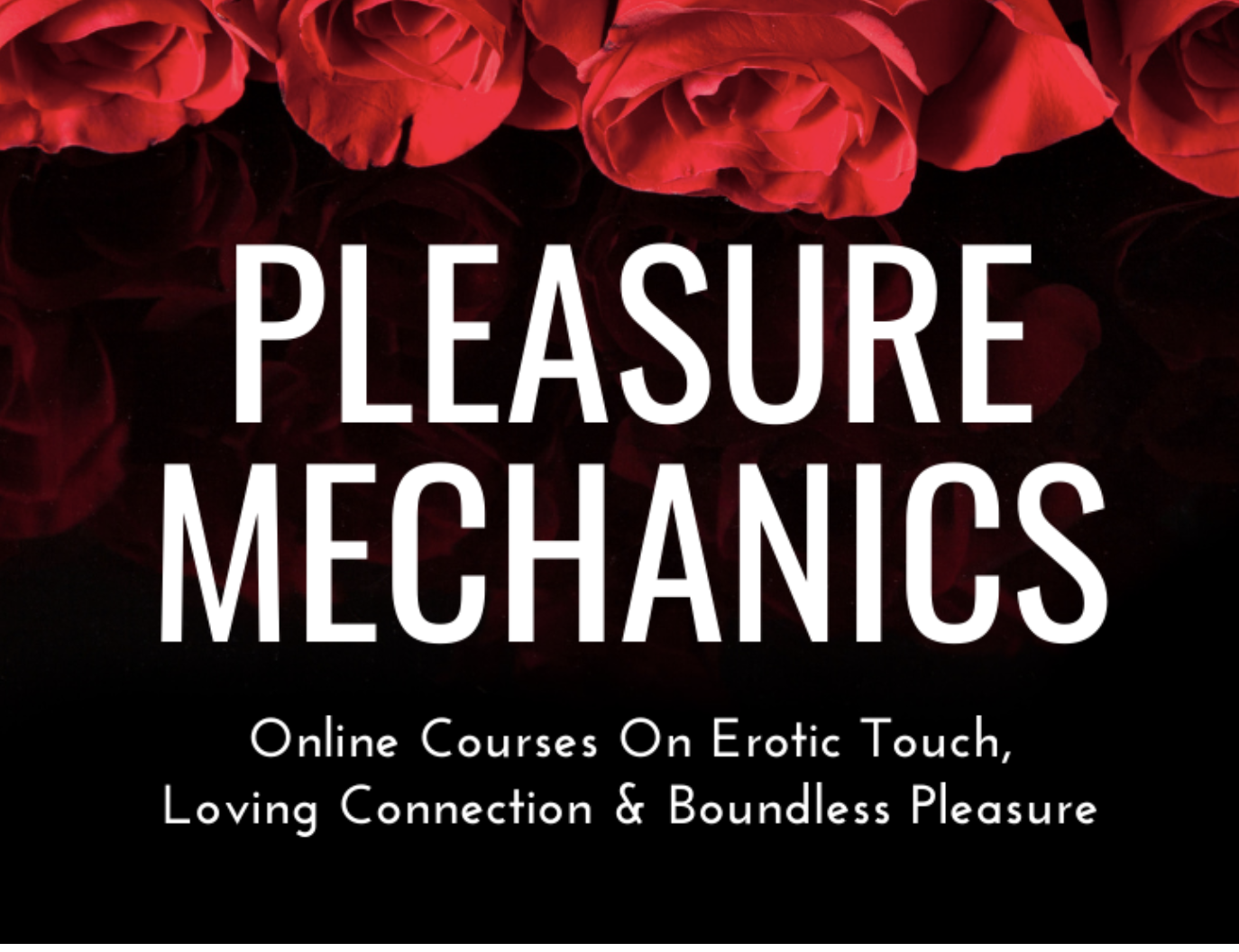 Pleasure Mechanics