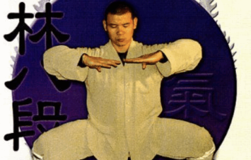 The Power Within-Shaolin Qi Gong BA Duan Jing - Shifu Shi Yanzi