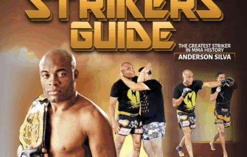 The Comprehensive Strikers Guide - Anderson Silva