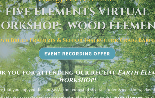 Five Elements Virtual Workshop: Wood Element - Bruce Frantzis
