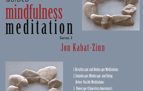 Guided Mindfulness Series 3 - Jon Kabat-Zinn