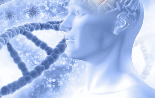 Advanced Arcturian DNA Activation-Nervous System Upgrade mp3s - Presence Healing Inc