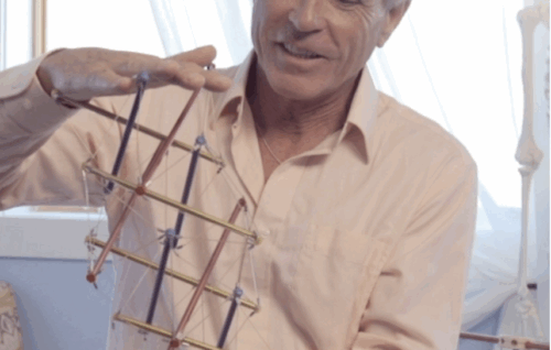 Unwinding the Spine - Anatomy Trains - Tom Myers