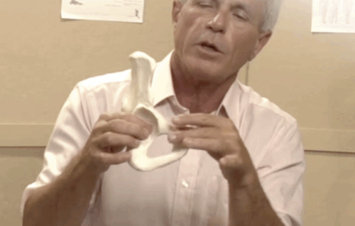 Balancing the Pelvis - Tom Myers