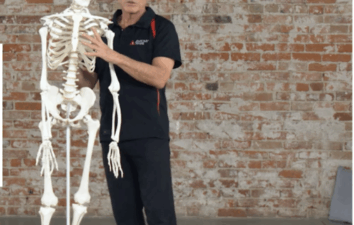 The Science of Stretch - Tom Myers