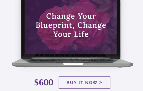 Change Your Blueprint, Change Your Life - Melissa Joy