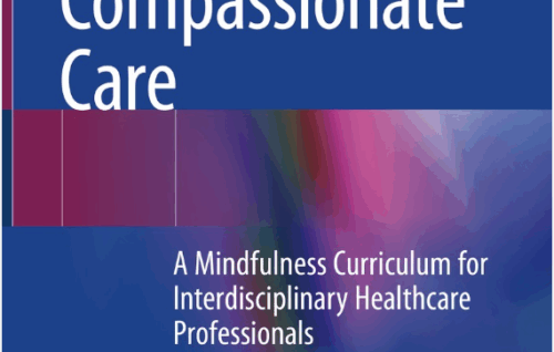 Delivering Compassionate Care: A Mindfulness Curriculum for Interdisciplinary Healthcare Professionals - Sarah Ellen Braun, Patricia Anne Kinser (Eds)