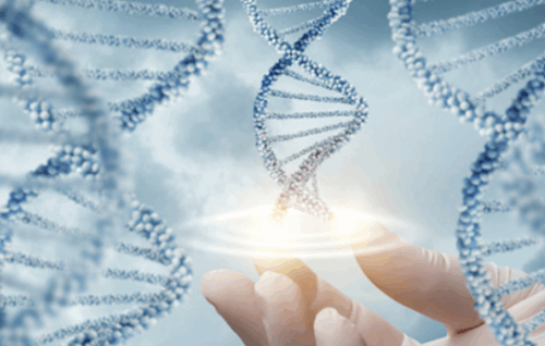 Designing Your DNA - Home Study - Julie Renee
