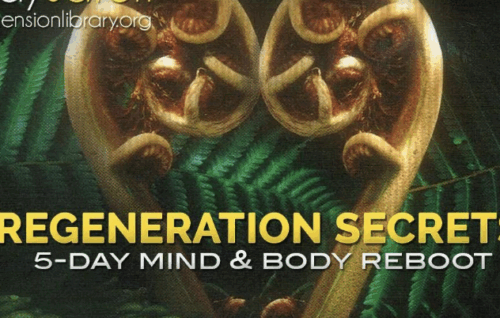 Regeneration Secrets - Judy Satori