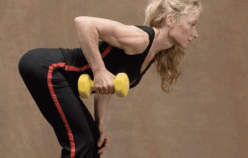 The Happy Body For Life - Exercise Videos