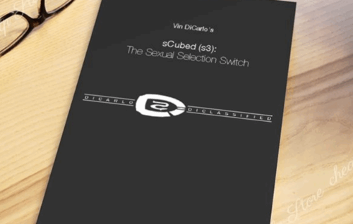 Scubed - Vin Dcarlo