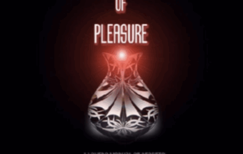 Secret Principles Of Pleasure - IN10SE
