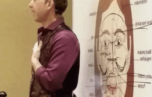 Secrets of Face Reading and Chinese Medical Hypnotherapy - David Snyder