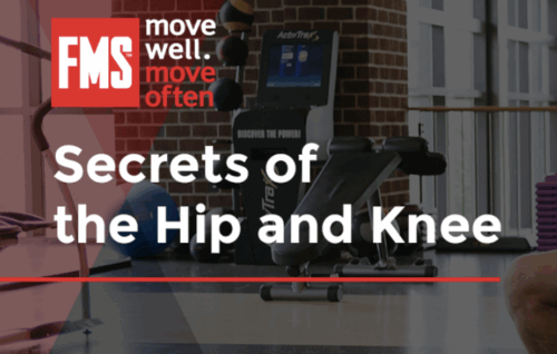Secrets of the Hip and Knee - Gray Cook