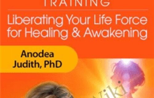 The Charge Activation Training - Anodea Judith