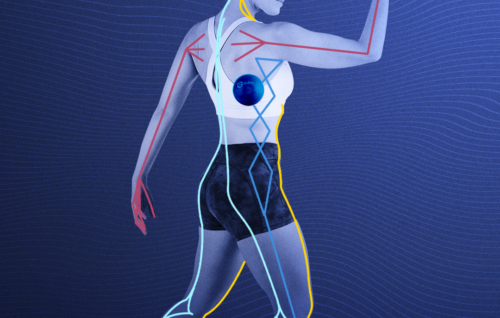 Rolling Along the Anatomy Trains - Tom Myers and Jill Miller