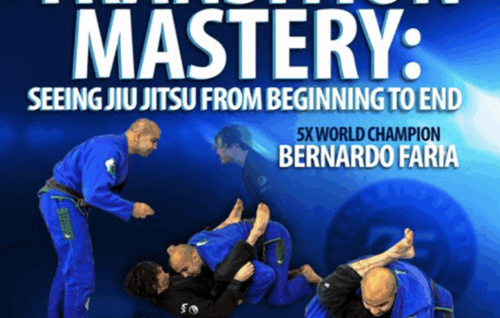 Transition Mastery - Bernardo Faria