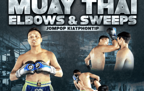 Mastering The Devastating Elbows & Hands of MUAY THAI - Malaipet Sasiprapa