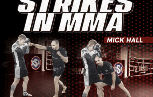 Shifting With Strikes in MMA - Mick Hall