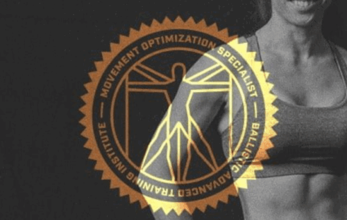 Movement Optimization Specialist Course - Thibarmy