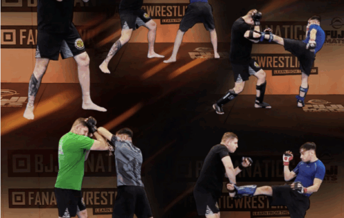 Blocking And Evading for MMA Striking - Charlie Vinch