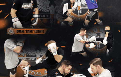 Dynamic Striking Defense - Duane Ludwig