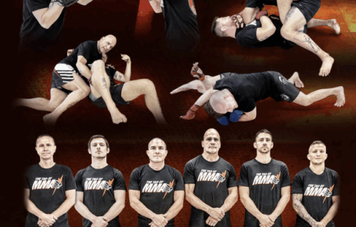 The Tao Of MMA - Duane Ludwig