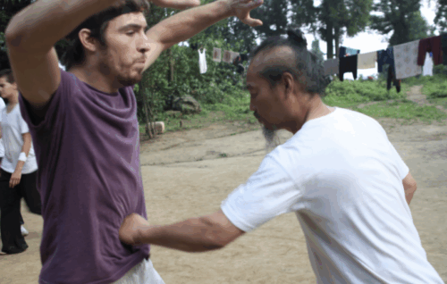 Da Gong : Big Dipper Body Protection - Wudang White Horse