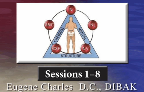 Applied Kinesiology in Clinical Practice: 100 Hour Course