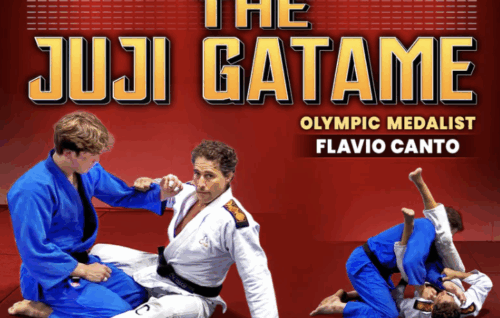 The Progressive System The Juji Gatame - Flavio Canto