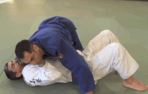 Brown Belt Requirements - Roy Dean