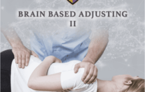Brain-Based Adjusting II (716) - Carrick Institute