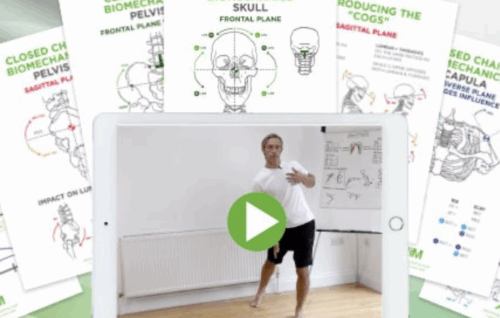 Biomechanics Of The Upper Body In Motion 2023 - Gary Ward