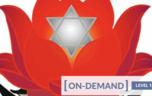On-Demand Meditation Level 1 Course - Gregor Maehle