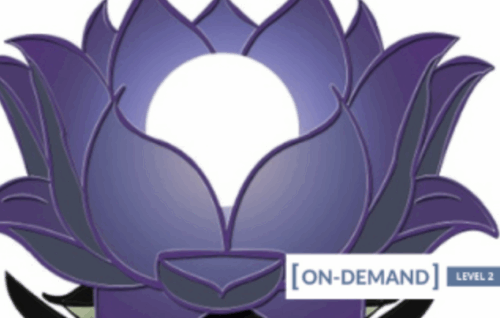 On-Demand Meditation Level 2 Course - Gregor Maehle