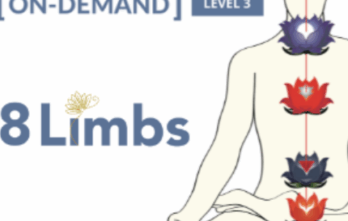 On-Demand Meditation Level 3 Course - Gregor Maehle