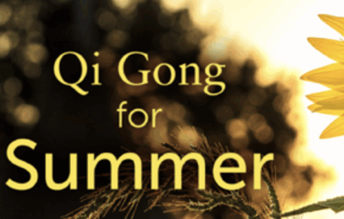 Qi Gong for Summer Workshop - Lee Holden