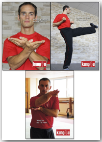 Bundle - Sifu Taner & Sifu Graziano Empty Hand Forms1