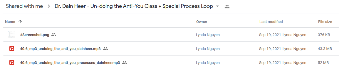 Dr. Dain Heer - Un-doing the Anti-You Class + Special Process Loop