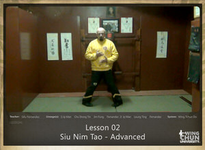 Lesson 02 - Siu Nim Tao - Advanced