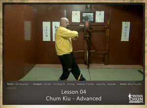 Lesson 04 - Chum Kiu - Advanced