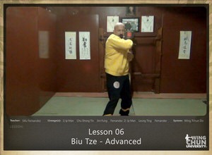 Lesson 06 - Biu Tze - Advanced