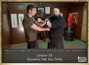 Lesson 18 - Dynamic Pak Sao Drills