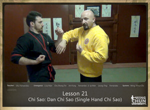 Lesson 21 - Chi Sao - Dan Chi Sao (Single Hand Chi Sao)