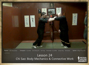 Lesson 24 - Chi Sao - Body Mechanics & Connective Work