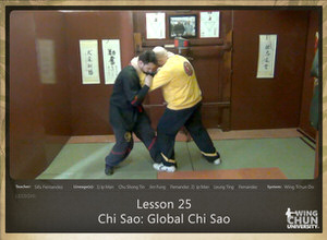 Lesson 25 - Chi Sao - Global Chi Sao