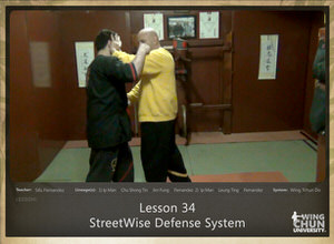 Lesson 34 - Defense - StreetWise Defense System